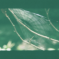 Olga Shaydullina & Stanislav Vdovin &ndash; Magic Carpet