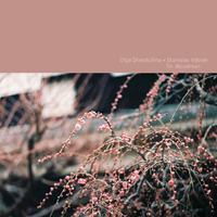 Olga Shaydullina & Stanislav Vdovin &ndash; Tin Woodman