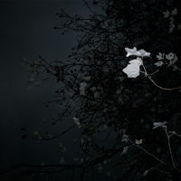 Olga Shaydullina & Stanislav Vdovin &ndash; Sirenes