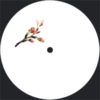 Unit 21 &ndash; Asphalt